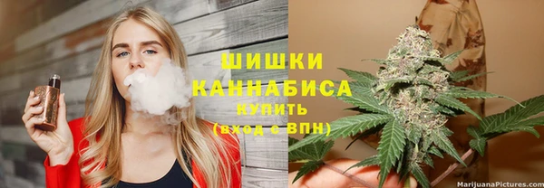 мдпв Гусь-Хрустальный