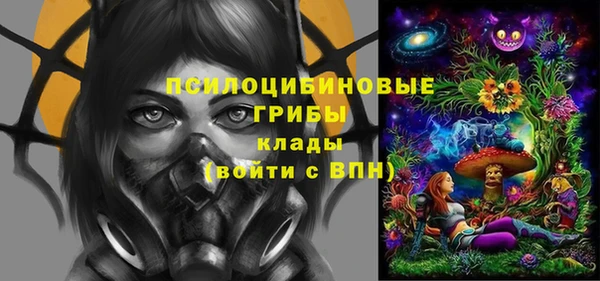 мдпв Гусь-Хрустальный
