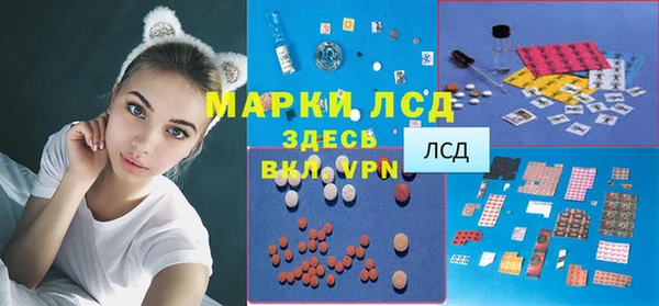 мдпв Гусь-Хрустальный