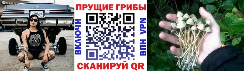 Псилоцибиновые грибы MAGIC MUSHROOMS  Певек 
